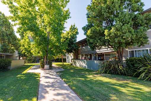 A tree-lined walkway leads to a building.