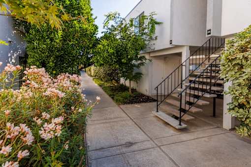 A concrete pathway leads to a staircase outside a house.