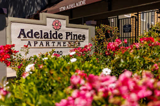 A sign for Adelaide Pines Apartments is surrounded by flowers.