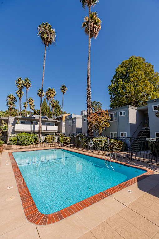 A swimming pool surrounded by palm trees and apartment buildings.