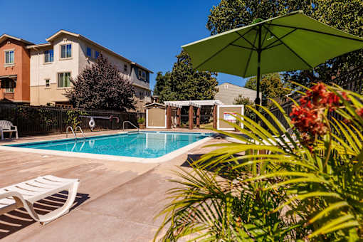A pool surrounded by a green umbrella and plants.