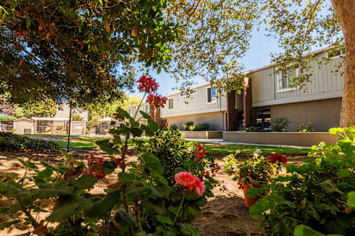A garden with red flowers in front of a building.