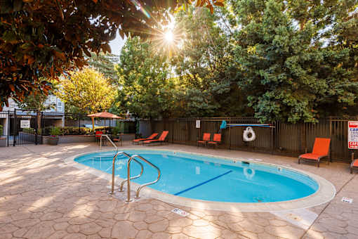 A sunny day at the pool with trees surrounding the area.