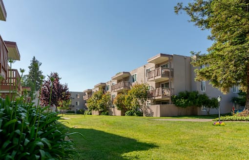 A grassy area in front of apartment buildings.