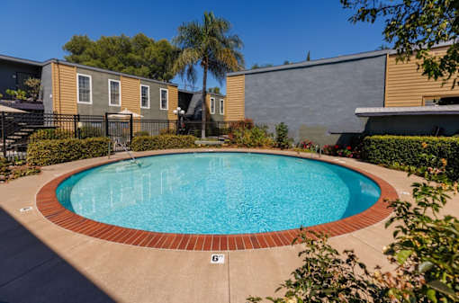 A small pool surrounded by a brick border.