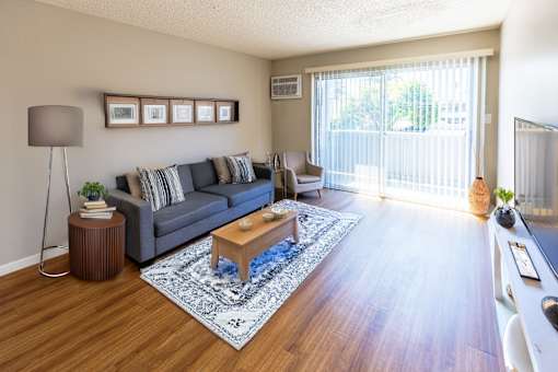 A living room with a grey couch, a wooden coffee table, and a blue rug.