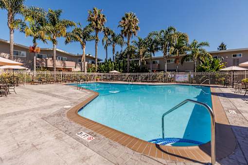 a swimming pool with palm trees and buildings in the background