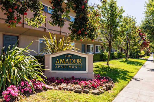 a sign in front of an amador apartments building with flowers