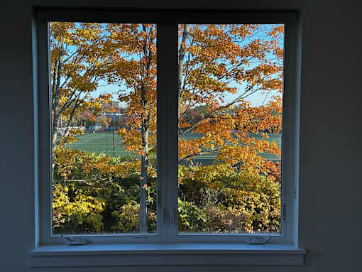 a window with a view of trees and a football field