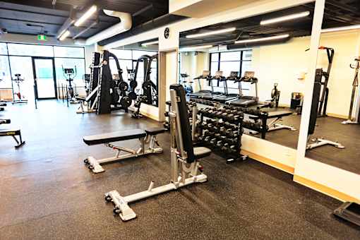 A gym with a variety of equipment including weights and treadmills.