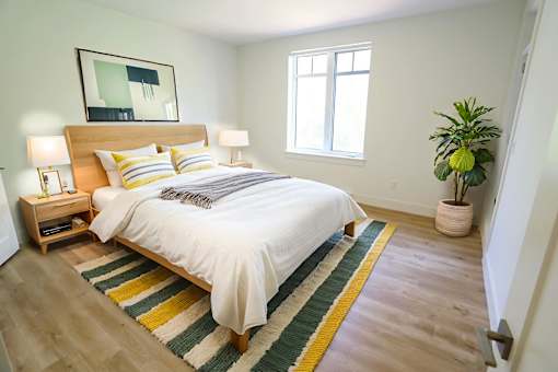 A bedroom with a bed, a potted plant, and a rug.