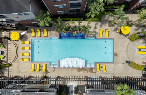 A large swimming pool surrounded by yellow lounge chairs.