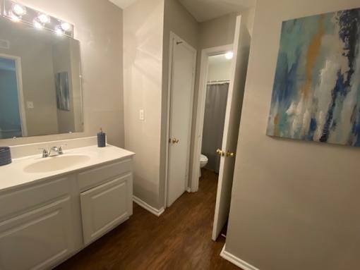 A bathroom with a white sink and a painting on the wall.