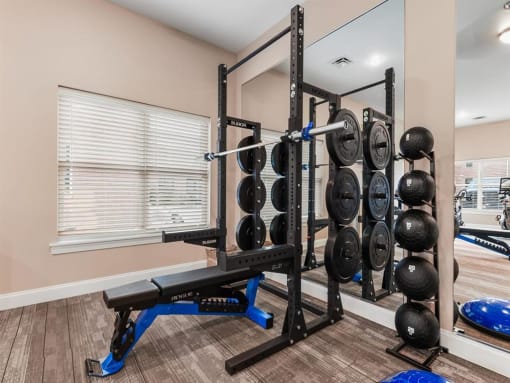 Bench In Fitness Center