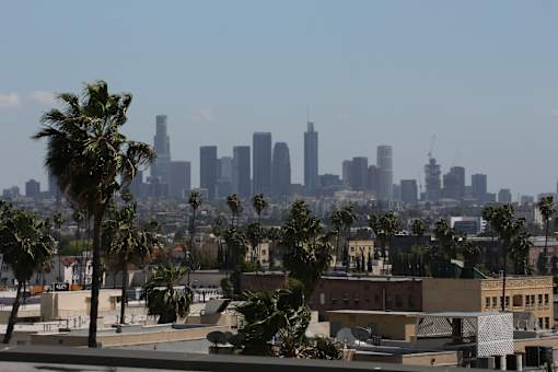 A city skyline with tall buildings and palm trees in the foreground.