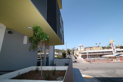 A building with a yellow awning and a tree in front of it.