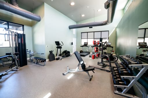 a gym with cardio equipment and weights on the floor