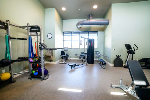 a gym with a lot of exercise equipment and a window