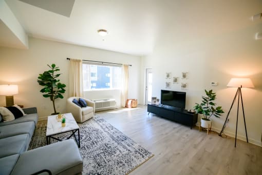 a living room with a couch and a tv