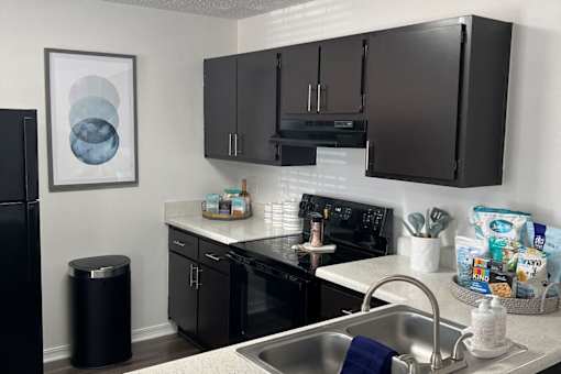 a kitchen with black cabinets and a sink at The Lorient Apartments, Pensacola, FL