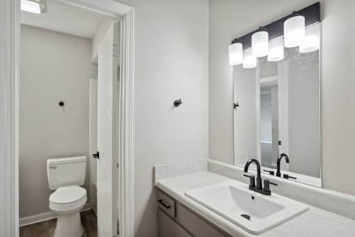 a bathroom with a sink and a toilet and a mirror
