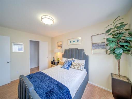 a bedroom with a bed and a potted plant at Villas del Tesoro Apartments, Dallas, TX