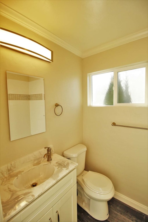 a bathroom with a toilet and a sink and a mirror