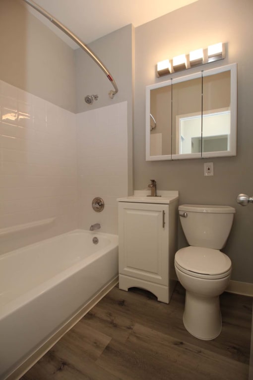 a bathroom with a toilet and a tub and a mirror