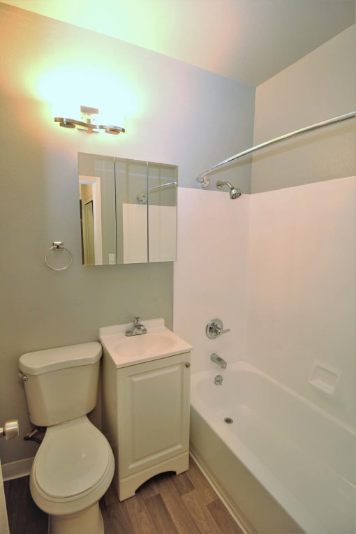 a bathroom with a toilet and a tub and a sink