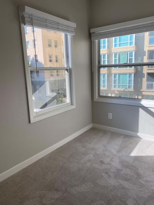 a living room with two windows and a carpeted floor