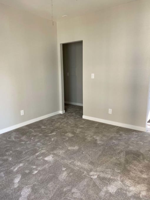 an empty living room with carpet and a door to a closet