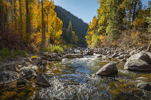 A river flows through a forest with rocks in the foreground.