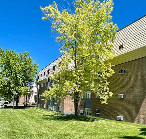 a tree in front of a brick building