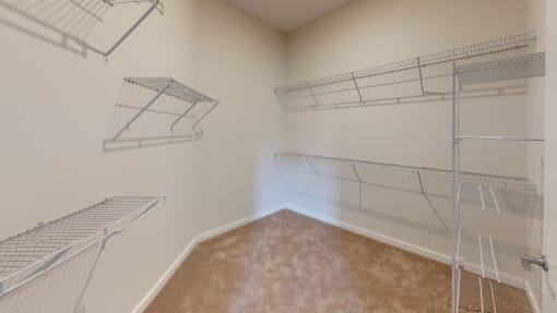 a spacious closet with empty shelves in a room with carpet