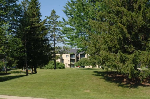 Beautiful Grounds