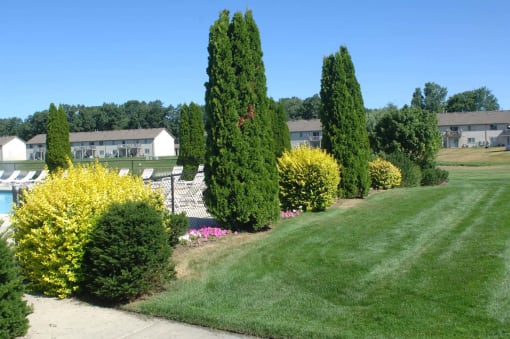 Beautiful Grounds