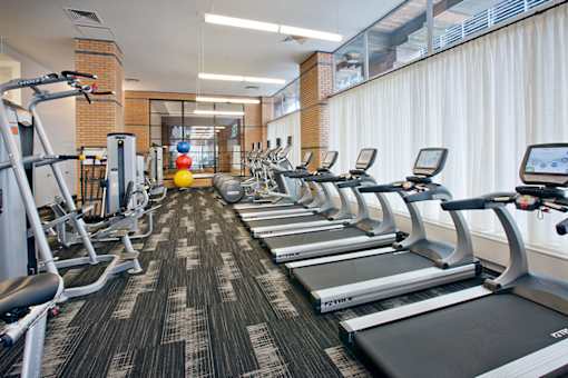A gym with treadmills, exercise bikes, and other equipment.