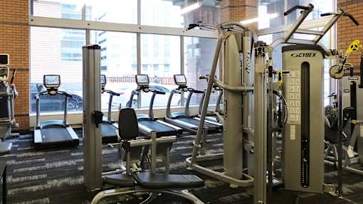 A gym with a treadmill, a stationary bike, and a weight machine.
