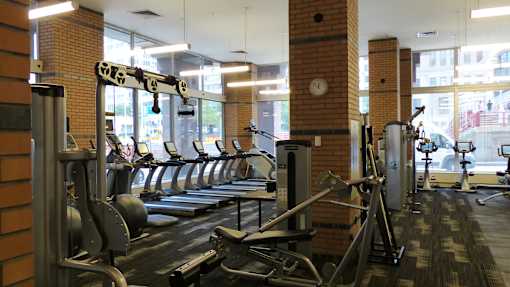 A gym with treadmills and weight machines.