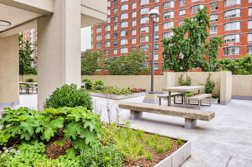 Garden Terrace