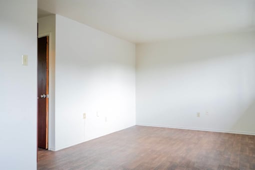 A room with a wooden floor and a door.