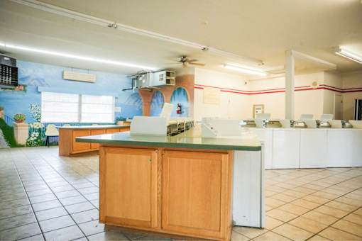 A kitchen with a counter and cabinets.