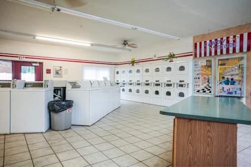 A room with rows of washers and dryers.