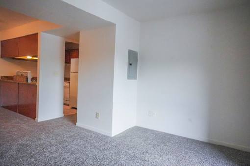 A room with white walls and a grey carpet.
