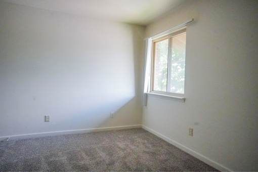 A room with a window and carpeted floor.