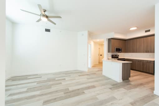 Solimar Interior
