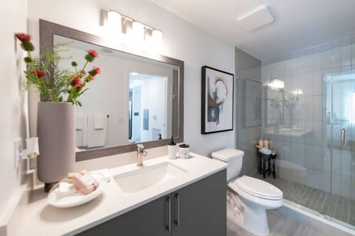 Platform 3750 Apartment Homes Studio Bathroom