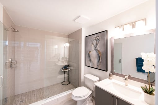 Platform 3750 Apartment Homes Bathroom