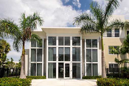 A modern house with a white facade and glass windows is surrounded by palm trees.