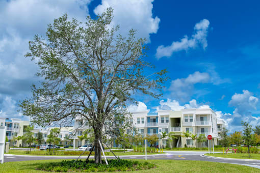 Solimar Exterior
